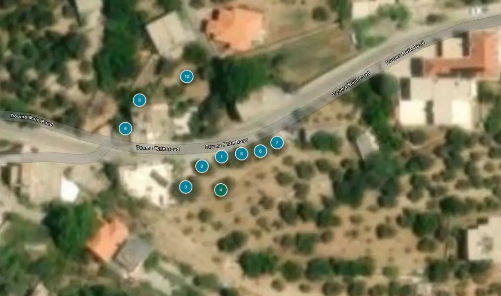 Satellite view of Bchaaleh’s ancient olive grove with numbered tree markers